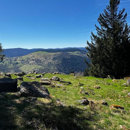 Le Petit Beillard Διαμέρισμα Gérardmer Εξωτερικό φωτογραφία