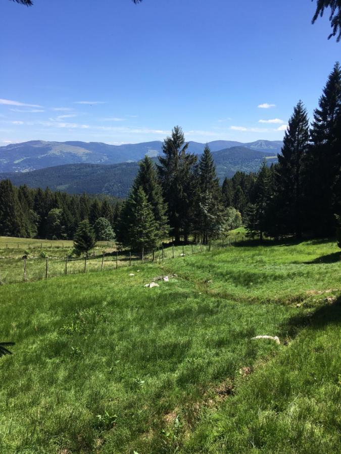 Le Petit Beillard Διαμέρισμα Gérardmer Εξωτερικό φωτογραφία