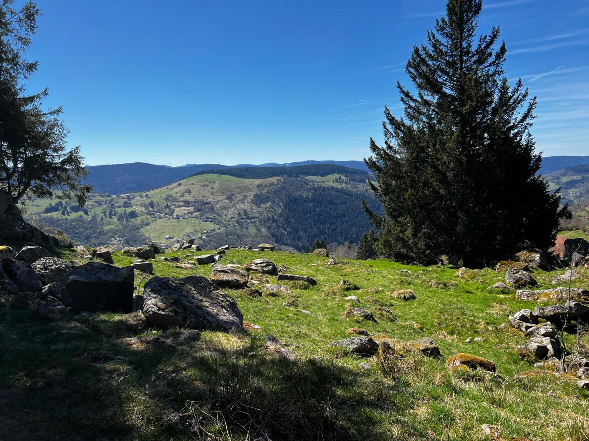 Le Petit Beillard Διαμέρισμα Gérardmer Εξωτερικό φωτογραφία